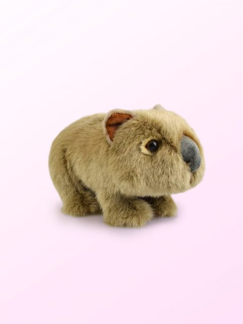 Korimco Lil Friends Wombat Soft Plush Toy - Souvenirs Direct