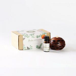 Mini eucalyptus oil & pod gift box