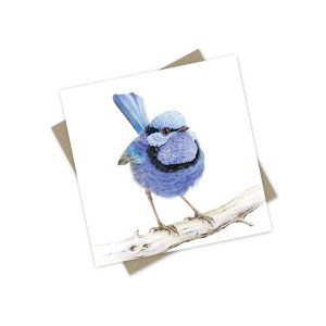 Splendid Fairy Wren Greeting card and envelope