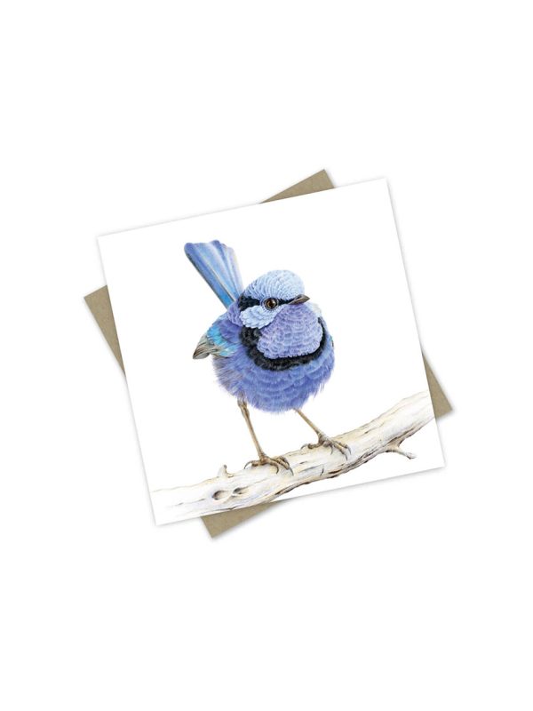 Splendid Fairy Wren Greeting card and envelope