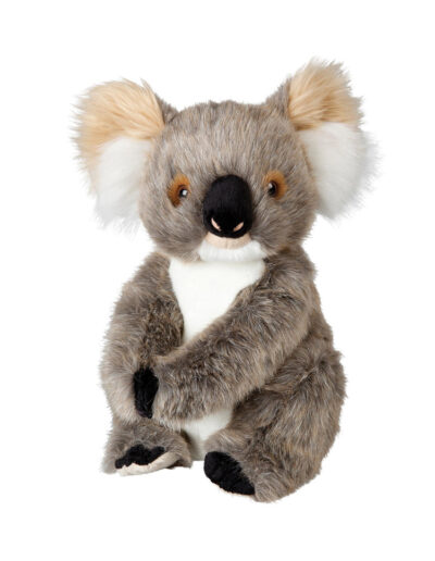 Adelaide the Koala