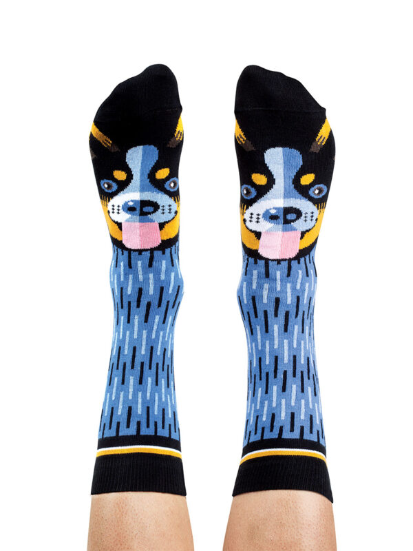 Blue Heeler socks