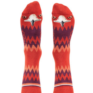 Wedge tailed eagle socks