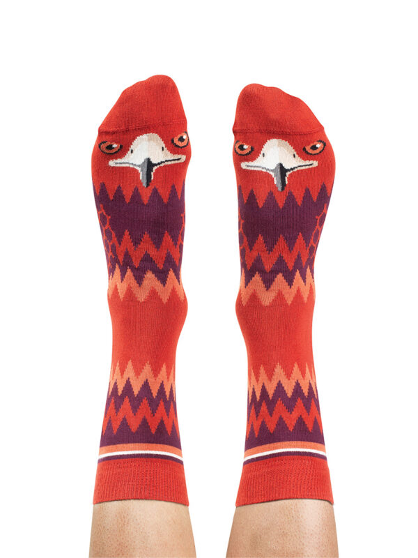 Wedge tailed eagle socks